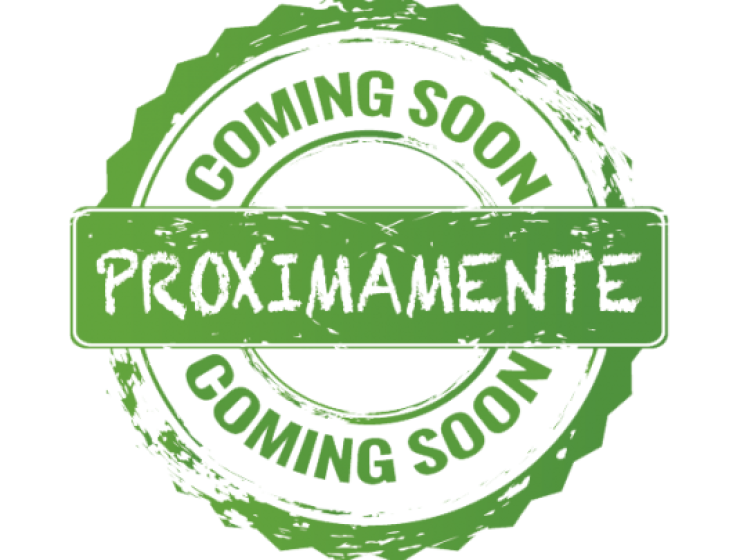 CASA CALLE LUIS GARCIA GUERRAS 71