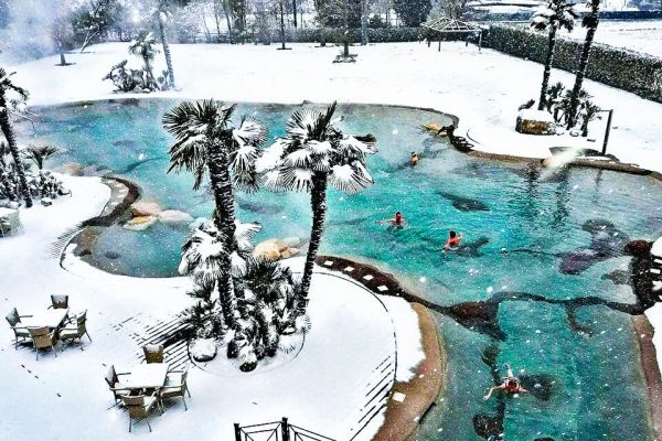 winterwonderland-biodesign